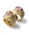 raupen-ringe.jpg